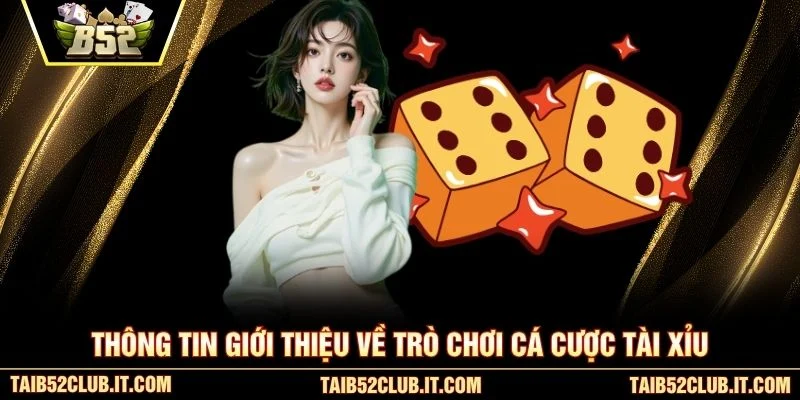 Thông tin giới thiệu về trò chơi cá cược tài xỉu